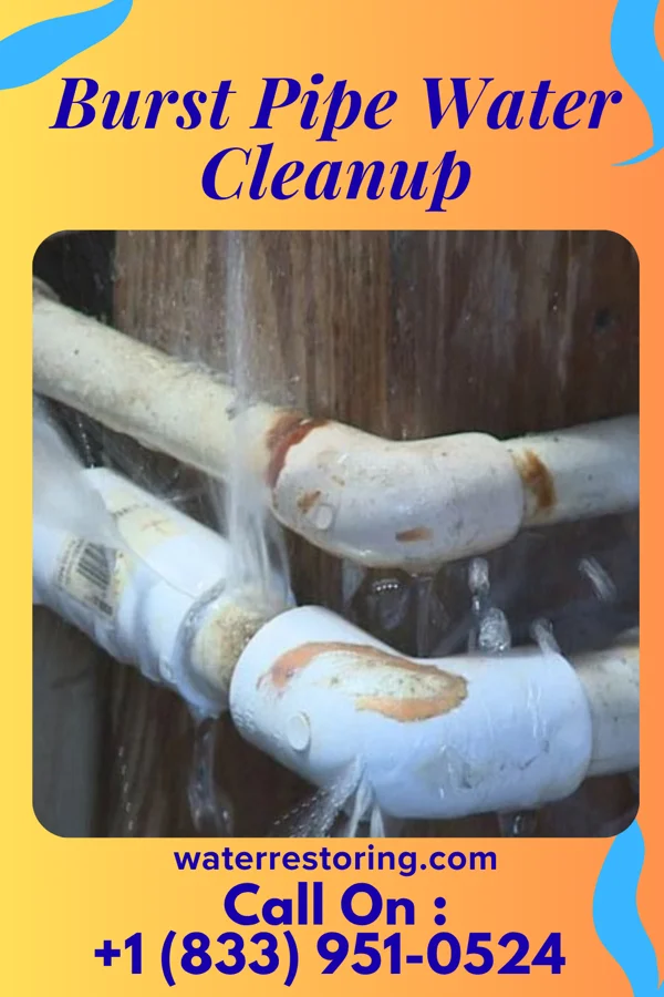 Burst Pipe Water Cleanup in Murfreesboro, TN