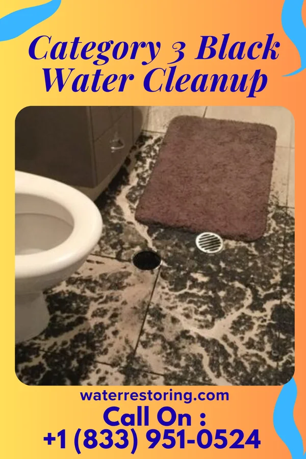 Category 3 Black Water Cleanup in Murfreesboro, TN