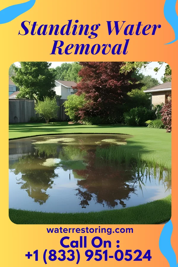 Standing Water Removal in Murfreesboro, TN